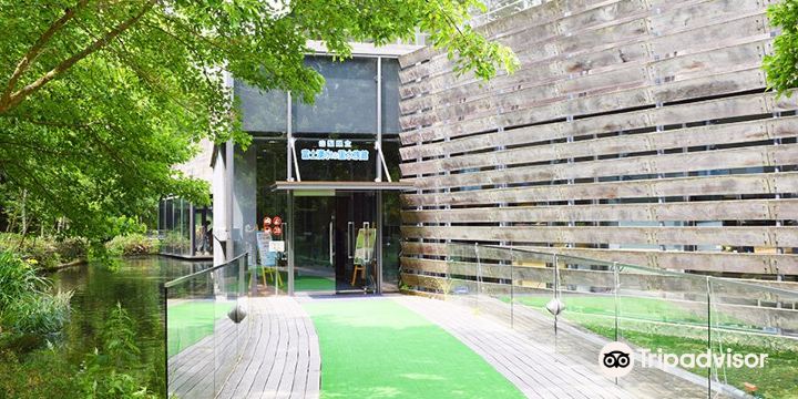 山梨県立富士湧水の里水族館 森の中の水族館