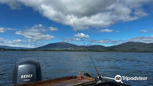 Whiskery Mike's Turangi Trout Connection | Fishing Charters in Tongariro and Taupo