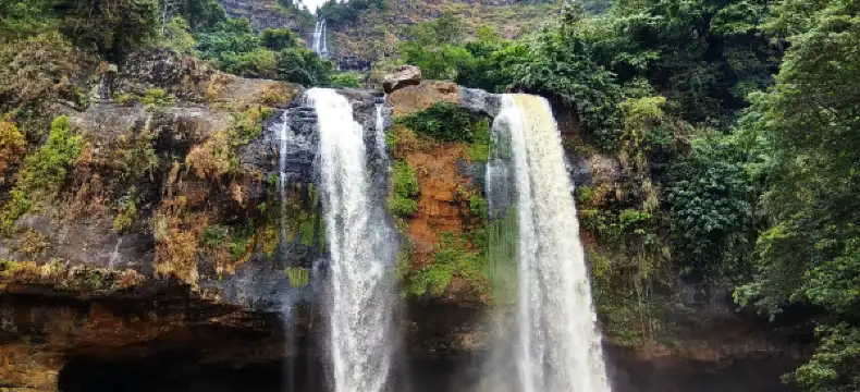 Hotels in Ciemas Subdistrict