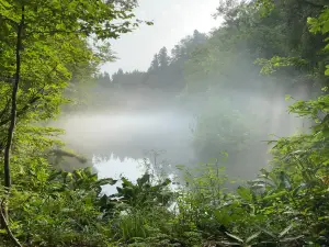 Ryugakubo water spring