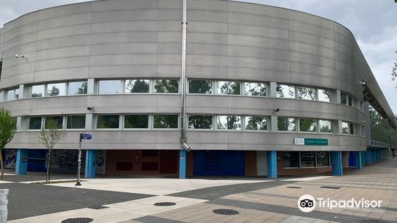 Mendizorrotza Stadium