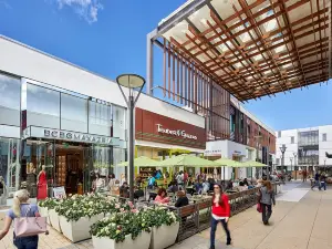 Stanford Shopping Center