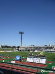 Sagamihara Gion Stadium