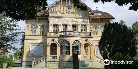 Museum of Naive and Marginal Art