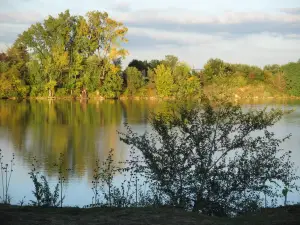 Fidler Pond Park