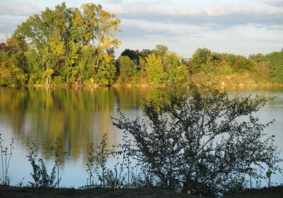 Fidler Pond Park