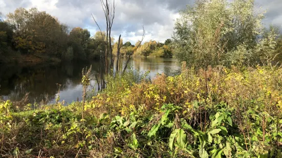 Tiddenfoot Waterside Park