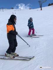Jibbin Ski & Snowboard School
