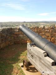 Fort selwyn