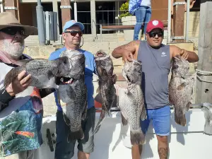 Mindarie Fishing Charters