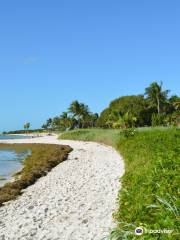 Sombrero Beach