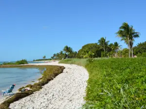 Sombrero Beach