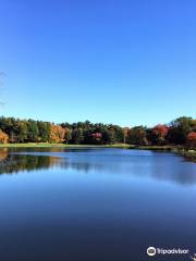 Houghton's Pond