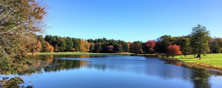 Houghton's Pond