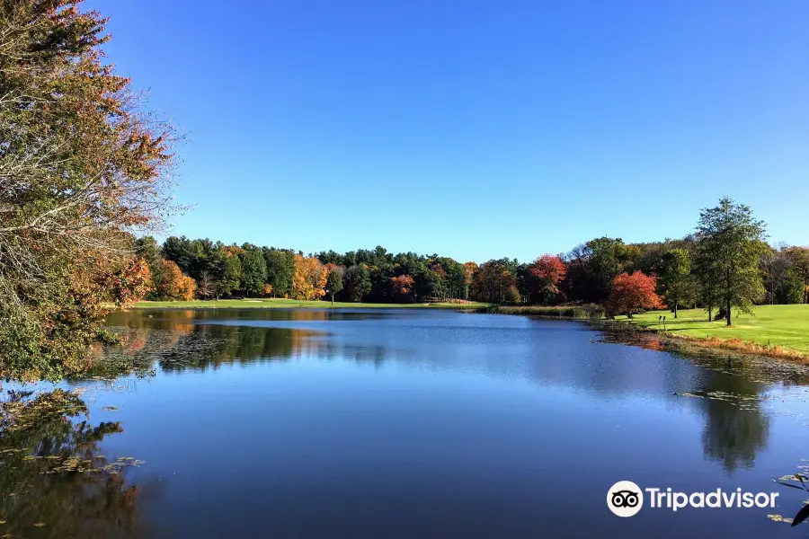 Houghton's Pond