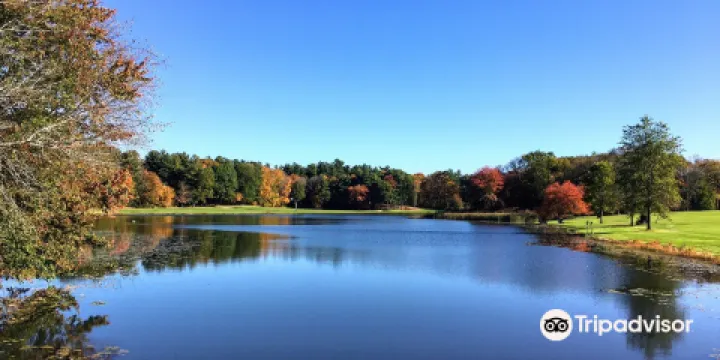 Houghton's Pond