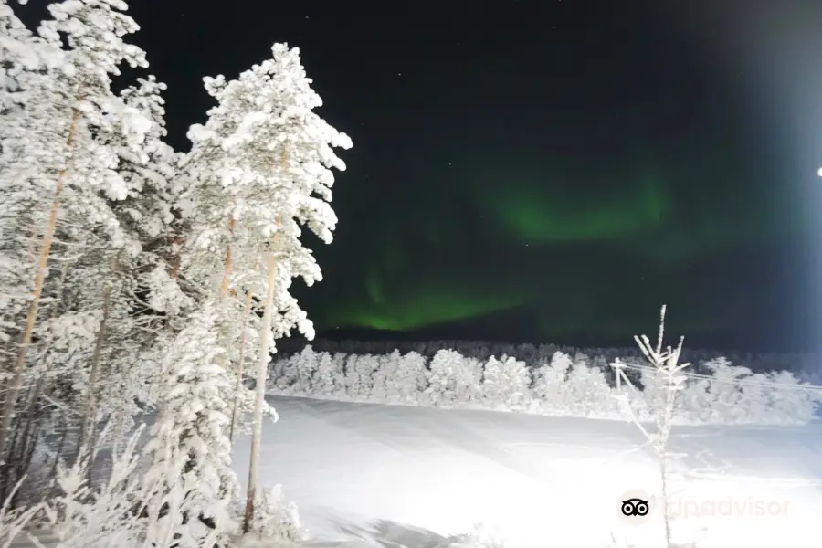 Murmansk State Awards