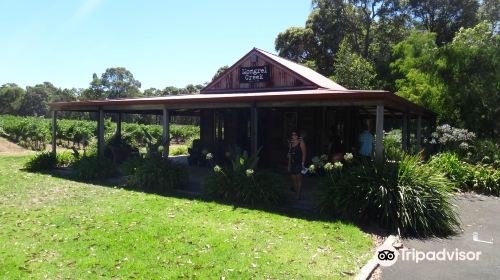 Mongrel Creek Wines Margaret River