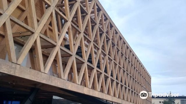 Pabellón Araucanía