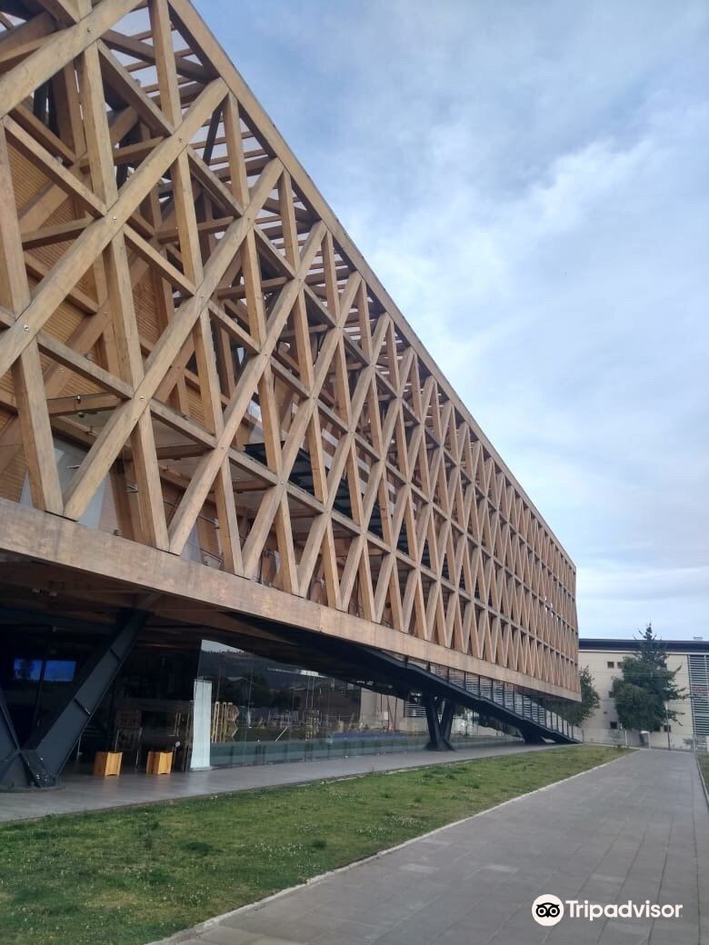 Pabellón Araucanía