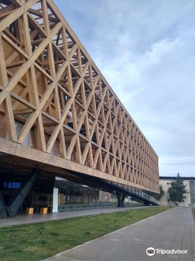 Pabellón Araucanía