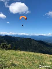 Mt. Dodaira