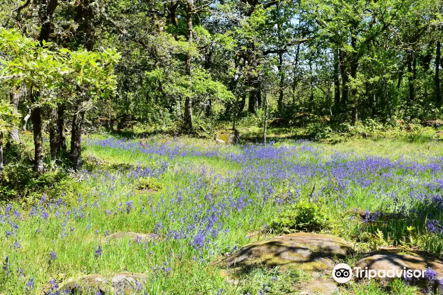 Camassia Nature Preserve