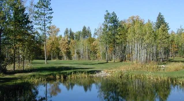 Wildwedge Golf, Mini Golf & Maze
