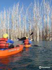 Potrerillos Explorer