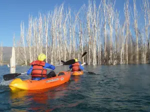 Potrerillos Explorer