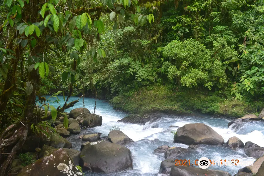 Sendero Las Sorpresas Rio Celeste