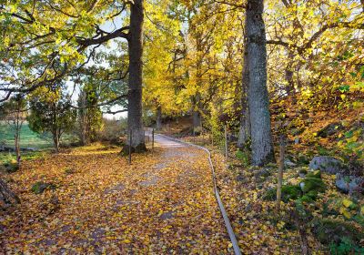 Romanas Naturreservat