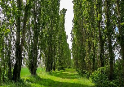 Oasi Ca' di Mezzo