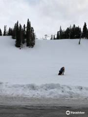 Hilltop Ski Area