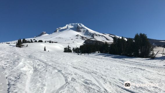 Timberline Summit Pass