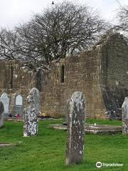 St Manchan's Well