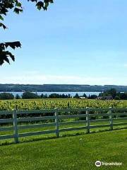 Lockwood Lavender Farm