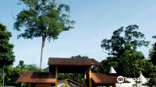 Museum of Amazônia (MUSA)