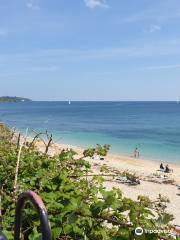 Gyllyngvase Beach