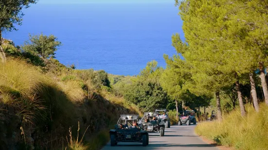 Dragon Buggy Mallorca