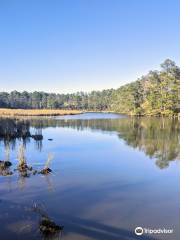 Bush Mill Stream Natural Area Preserve