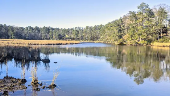 Bush Mill Stream Natural Area Preserve