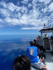 BEST SPOT AZORES 5* DIVE CENTER