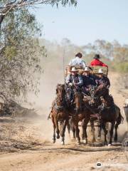 Outback Pioneers