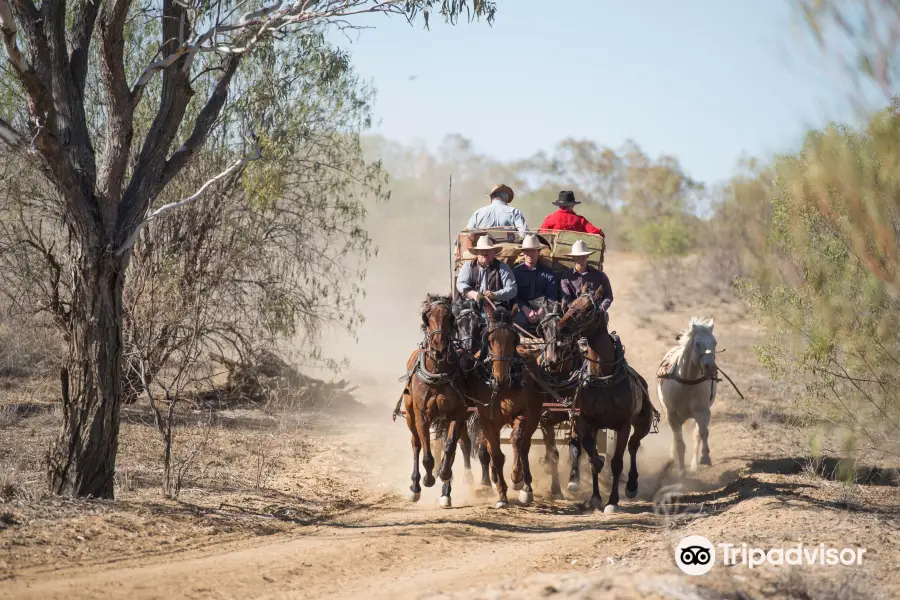 Outback Pioneers - Tours And Experiences