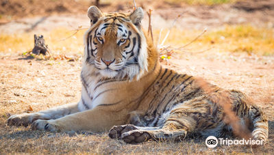 Ukutula Conservation Center