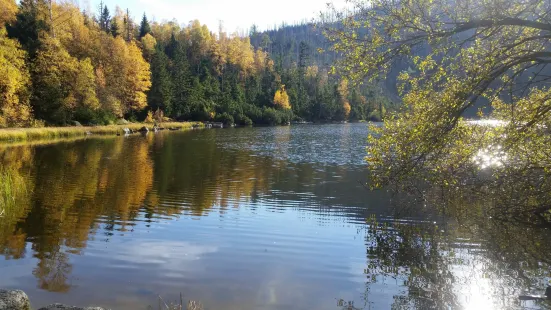 Plesne Lake