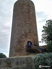 Torre Den Quart