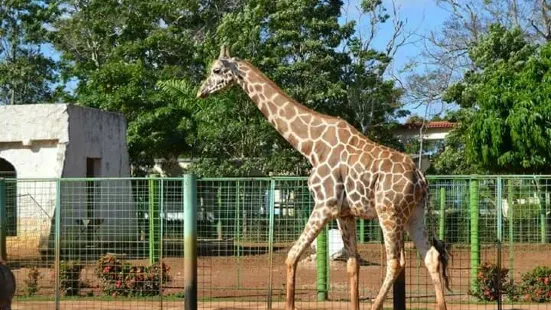 Zoologico de ciego de avila