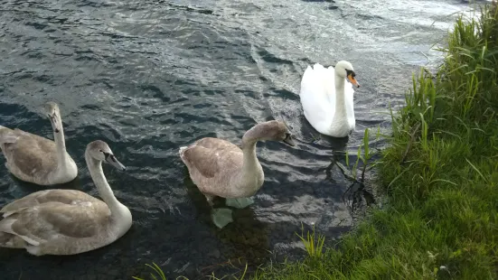 Nene Park Peterborough